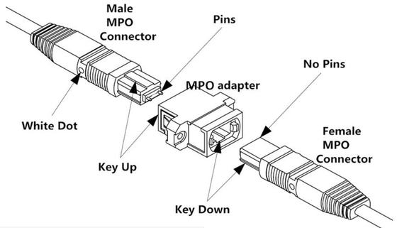 OM3/OM4 MPO 연결기 패치 코드 12 섬유 MPO 트렁크 케이블 8/12/24F MTP MPO 케이블
